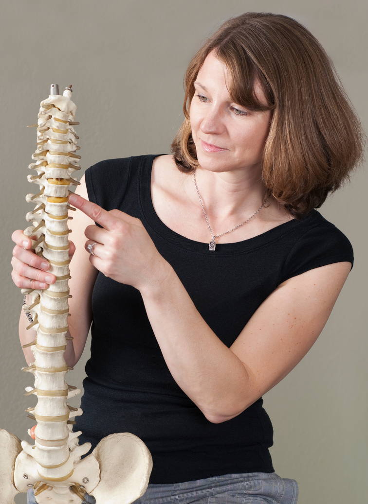 Spine Model - Chiropractic Series